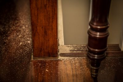 Droppings that look like sawdust are one key signal that your Louisville, KY home needs termite control. 