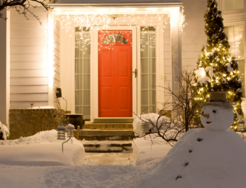 Winter Pest Prevention