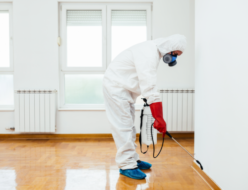 Why Pest Control is a Must-Have for Real Estate Agents