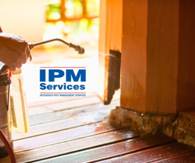 Termite Inspection in Middletown